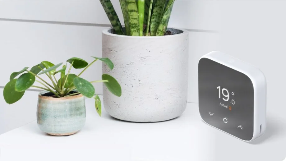 A Hive mini thermostat pictured with two green plants